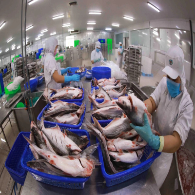 Brazil increased imports of Vietnamese pangasius in the first quarter of this year