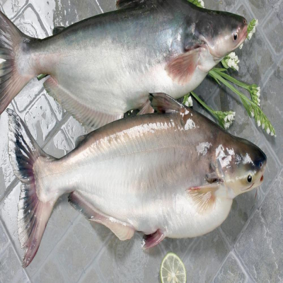 Export of Pangasius to China sees recovery in the last months of the year