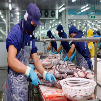 The EU is importing more Vietnamese pangasius during the last few months of the year