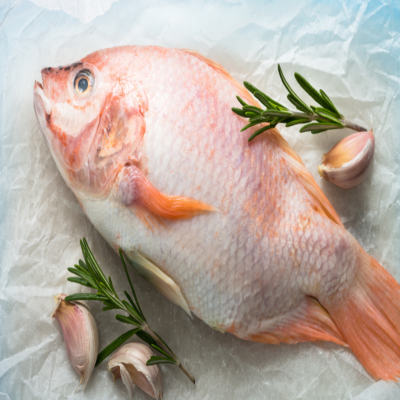 FROZEN RED TILAPIA WHOLE CLEANED