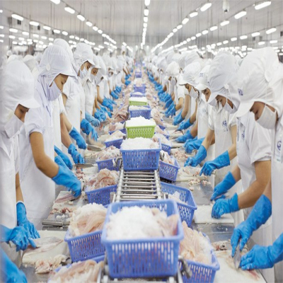 Vietnamese pangasius is having an advantage  in China